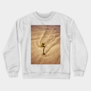 Seaweed Studies 4107 Crewneck Sweatshirt